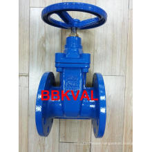 Wras Resilient Gate Valve